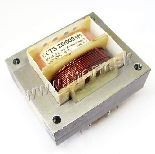 TS 25/009